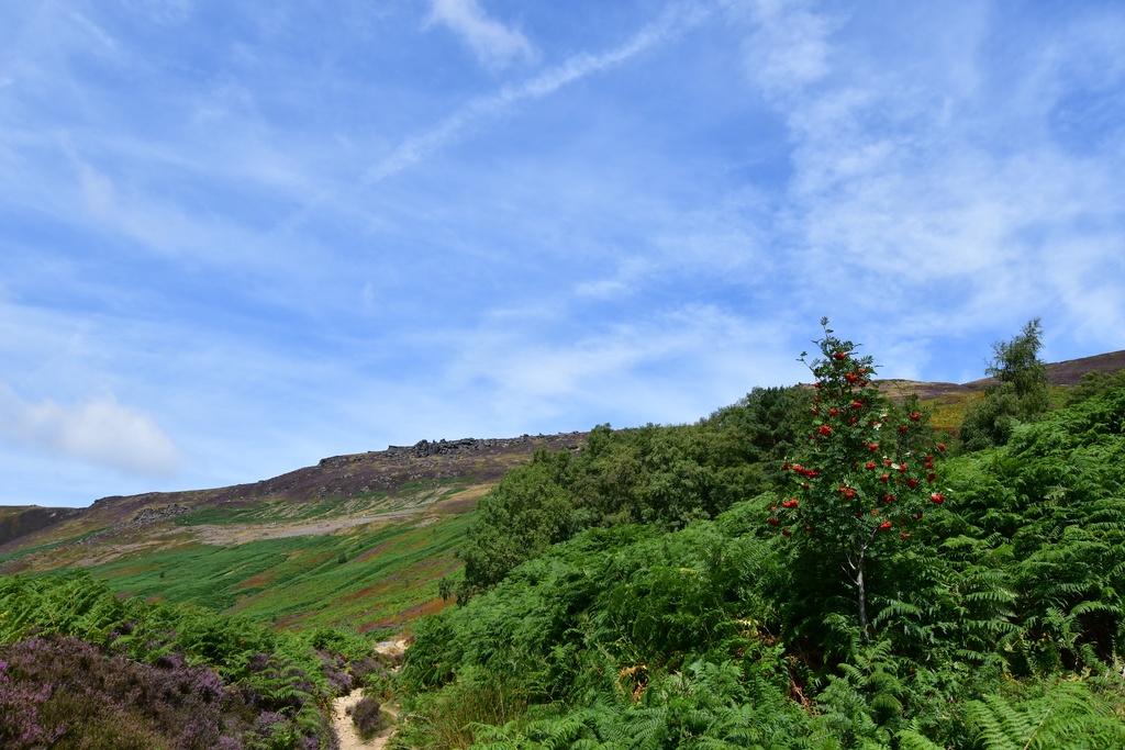 2018-08-04 Nottingham/Peak District/DSC_3535.JPG
